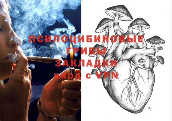 apvp Володарск