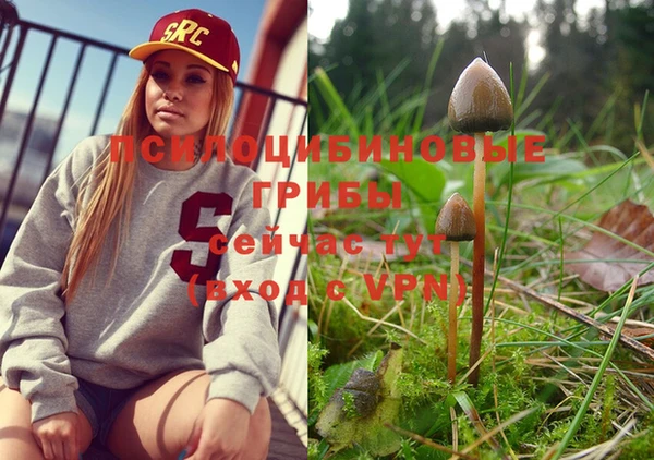 марки nbome Волоколамск