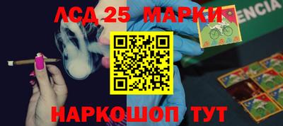 гидропоника Кимры